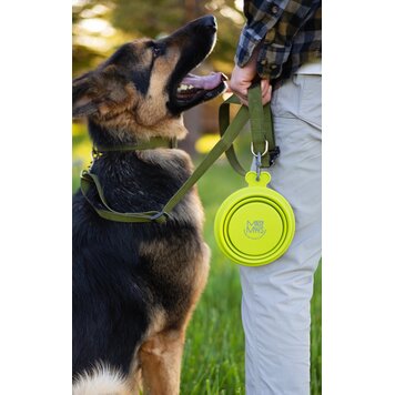Messy Mutts Silicone Collapsible Bowl Blue 1.5 cup