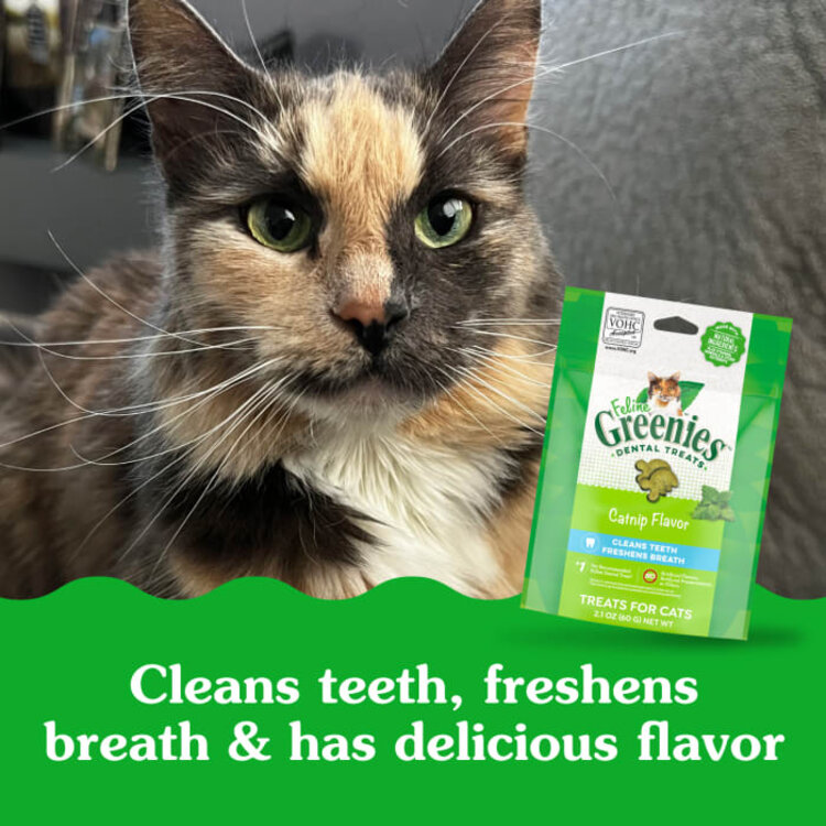 Feline Greenies Catnip Dental Treats 2.1oz
