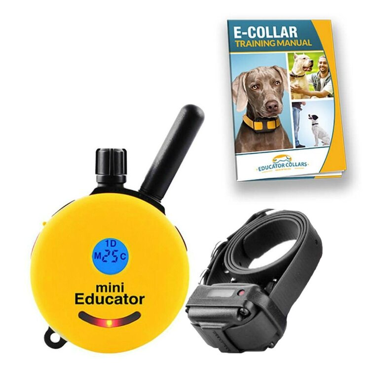 E-Collar Mini Educator Yellow