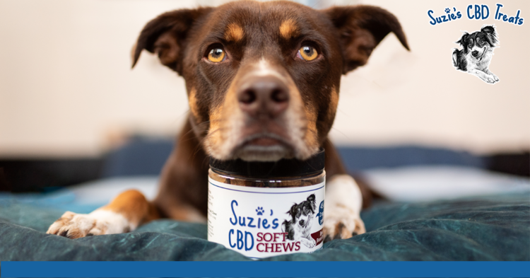 Suzie's Suzie's CBD Original Treats 8oz