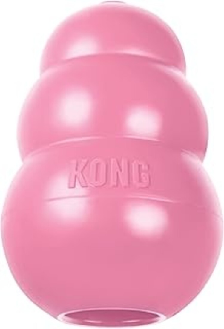 Kong Puppy XS