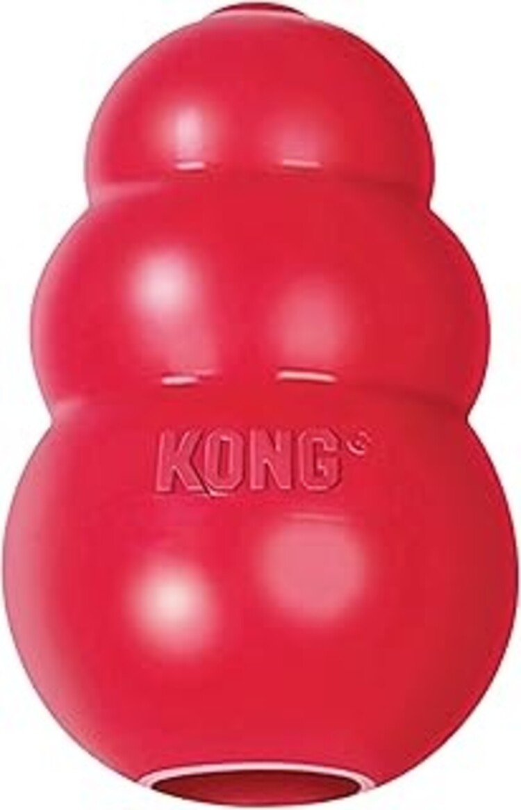 Kong Puppy XS