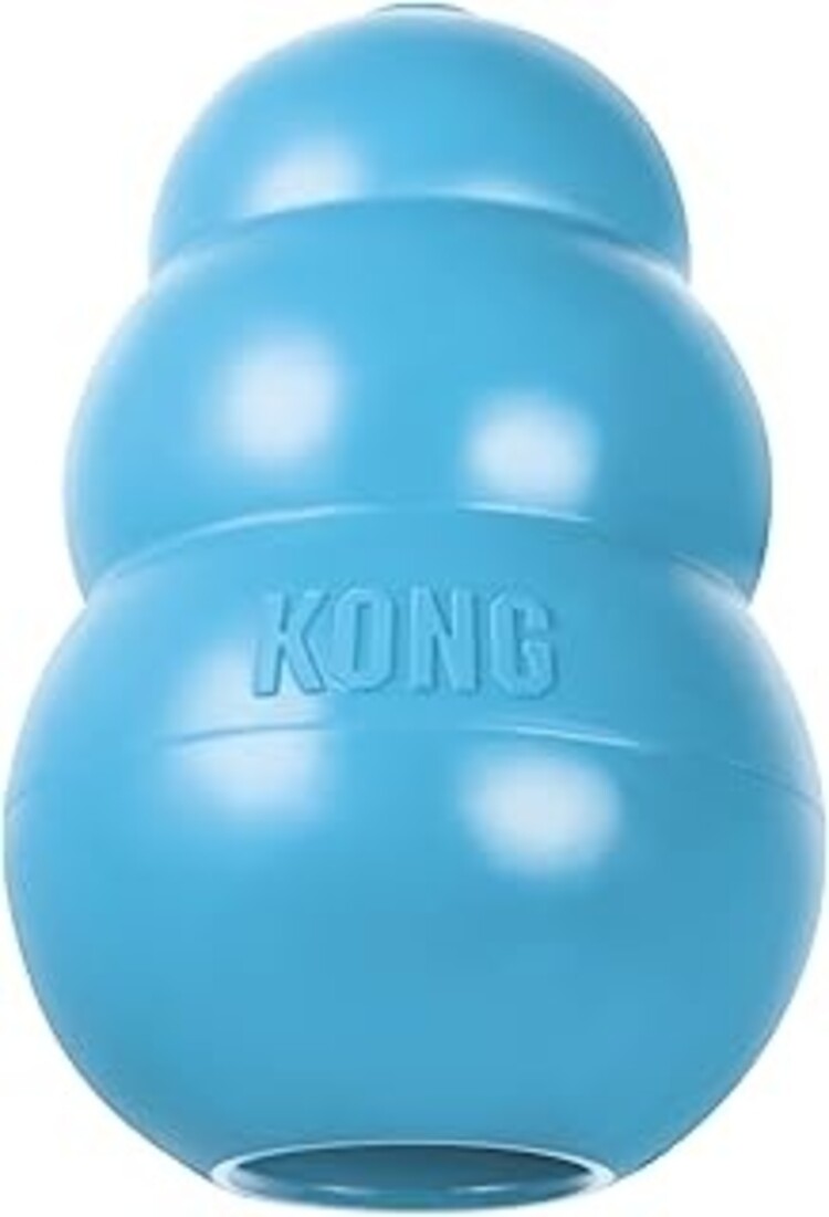 Kong Puppy XS