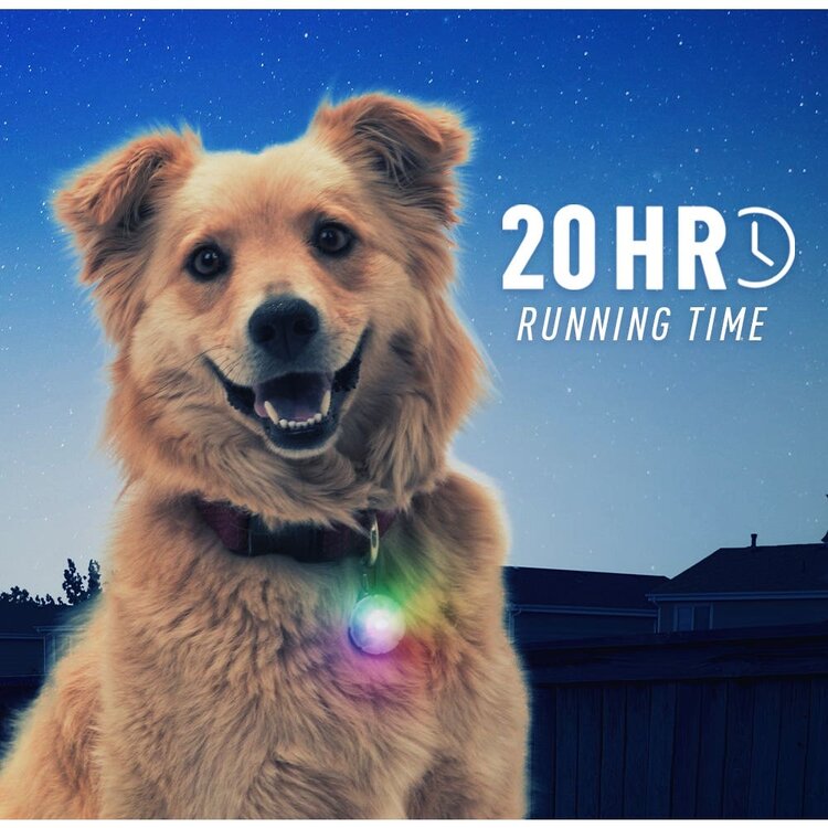 Niteize SPOTLit LED Collar Orange