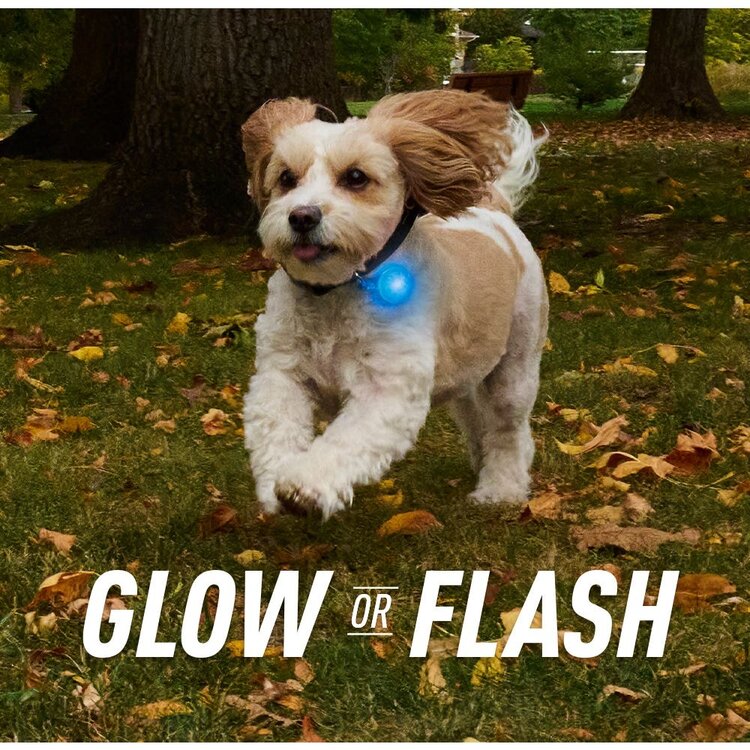 NiteIze SPOTLit LED Collar Light and Safety Flasher - Pink/White LED