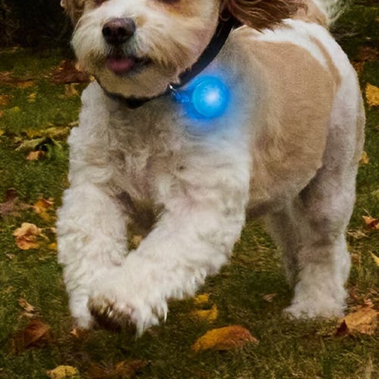 NiteIze SPOTLit LED Collar Light and Safety Flasher - Pink/White LED