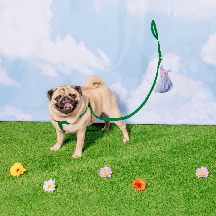 Poopsy Daisy Poopsy Poop Bag Holder Pink