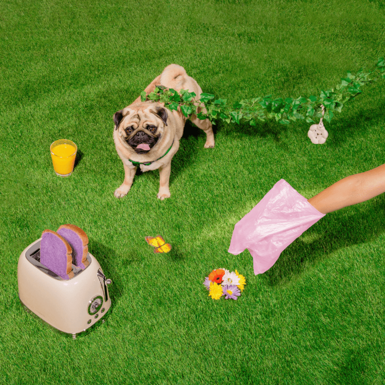 Poopsy Daisy Poopsy Poop Bag Holder Pink