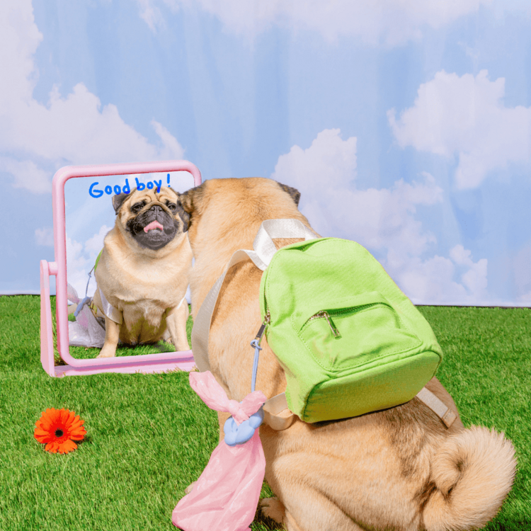 Poopsy Daisy Poopsy Poop Bag Holder Pink