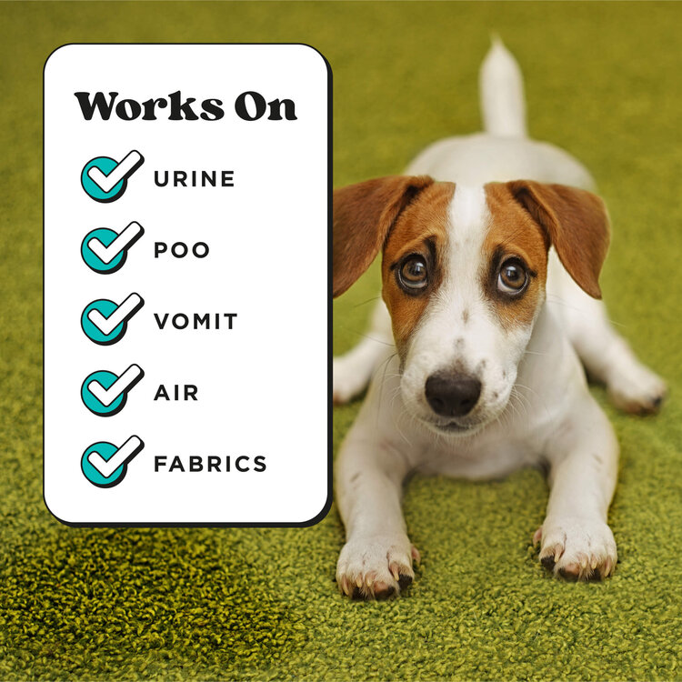 Pet-Pourri Pet Pourri Pawsitively Fresh 1.4oz