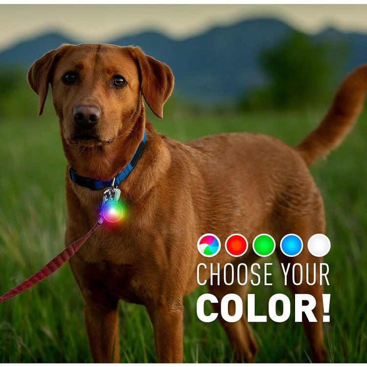 Niteize Spotlit Disc-o Recharge collar light