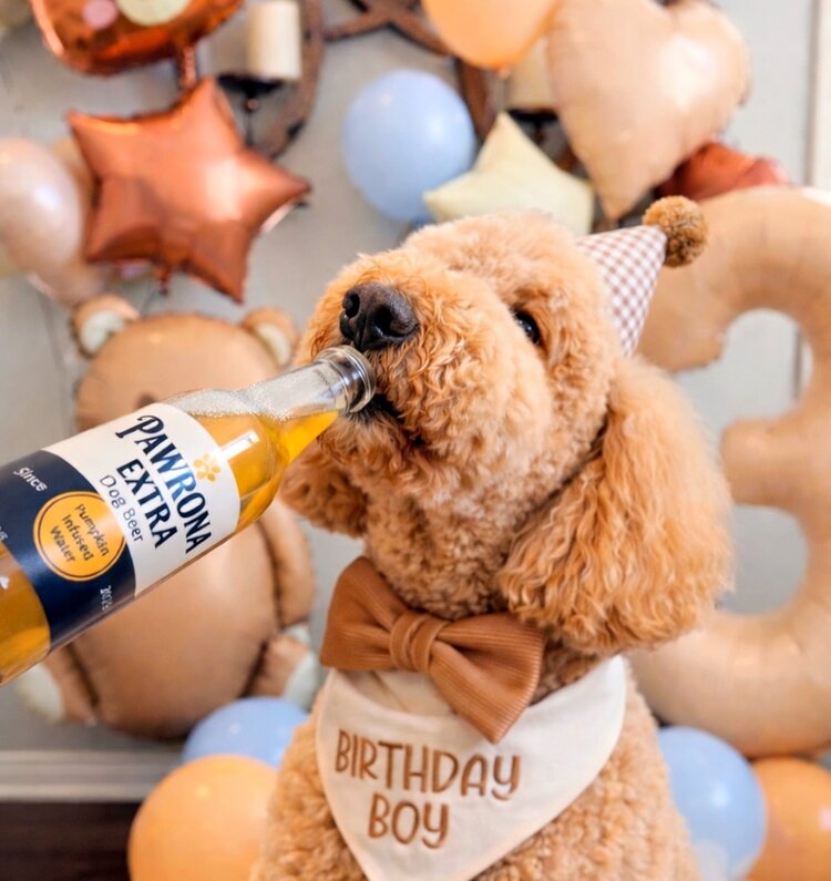 Yappy Hour Paw-Rona Dog Beer