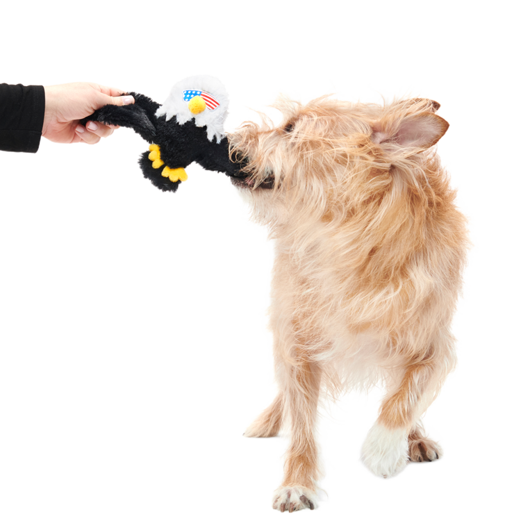 BARK Bark Bold Eagle