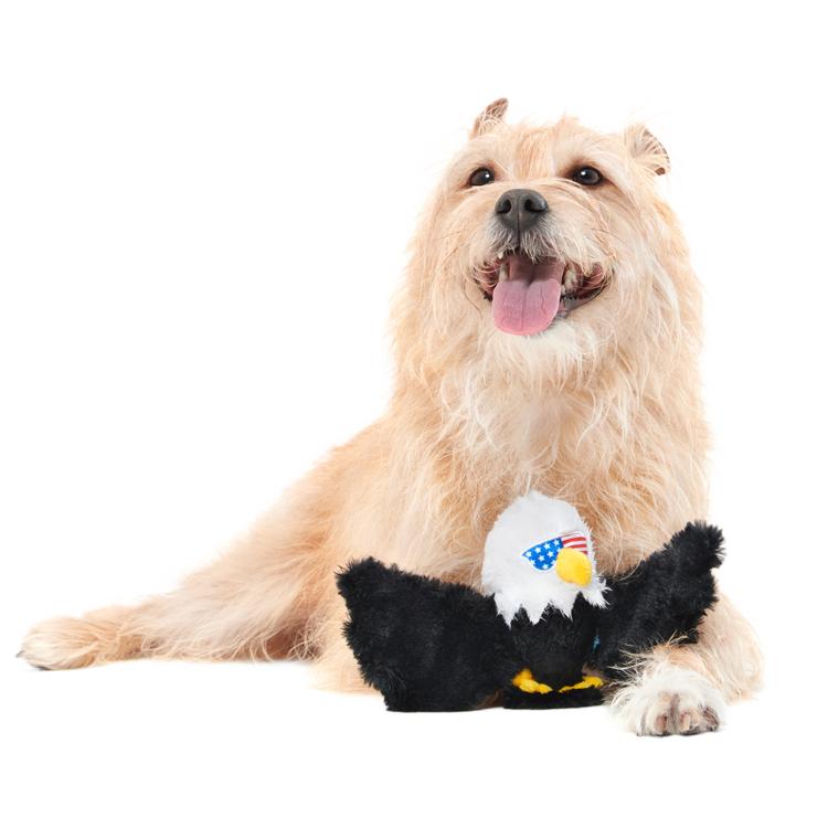 BARK Bark Bold Eagle