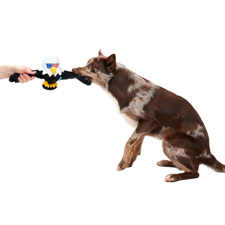 BARK Bark Bold Eagle