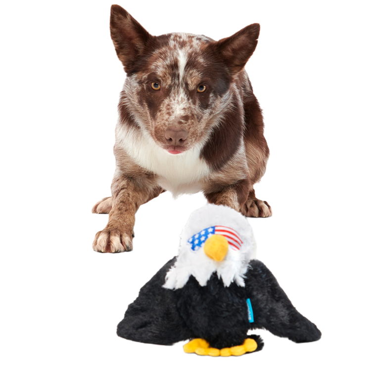 BARK Bark Bold Eagle