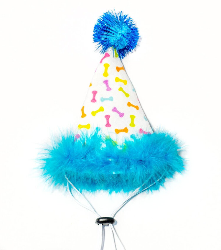 Party Hat Blue S