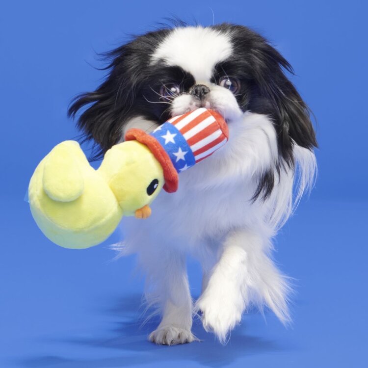 BARK Bark Uncle Duck