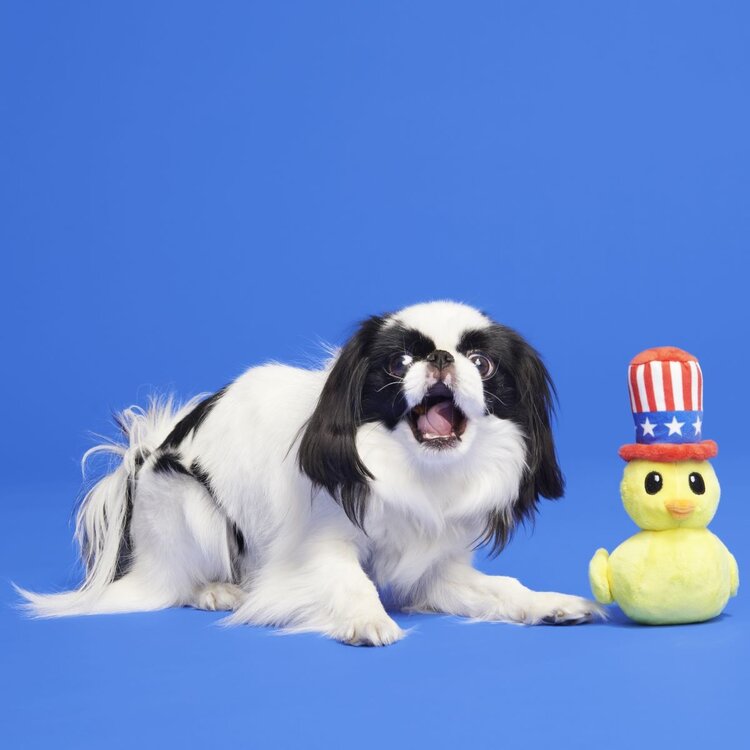 BARK Bark Uncle Duck