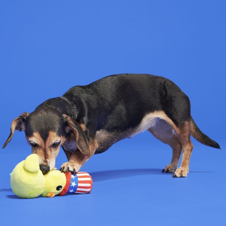 BARK Bark Uncle Duck