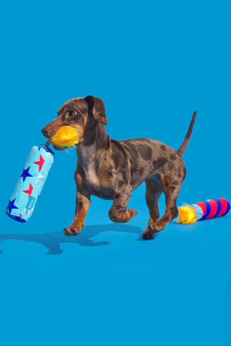 BARK Bark Pup-Pup Fireworks