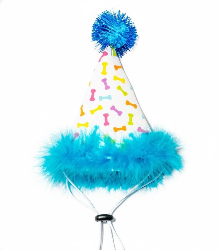Party Hat Blue L