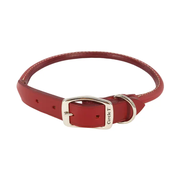 Circle T Leather Collar