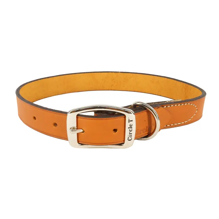 Circle T Leather Collar