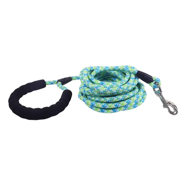 Coastal Accent Leash