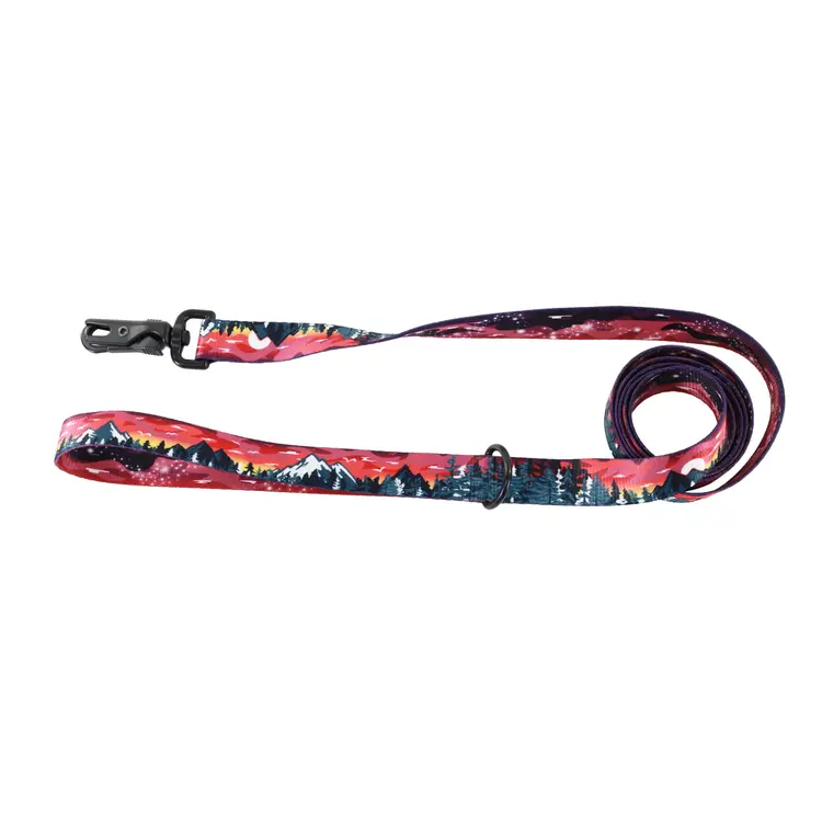 Coastal Accent Leash