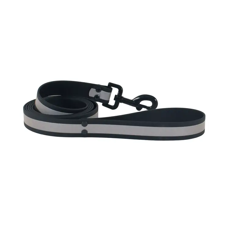 Coastal Accent Leash