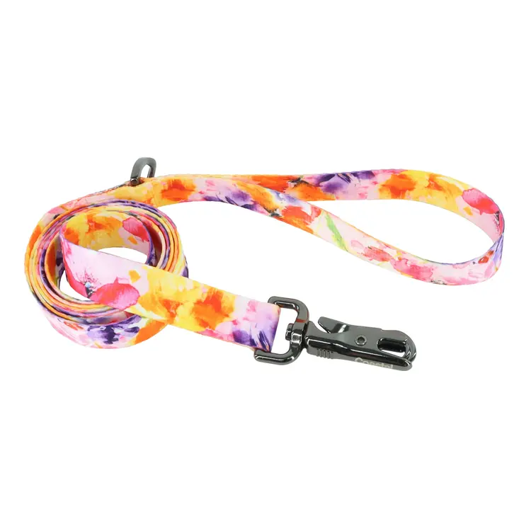 Coastal Accent Leash