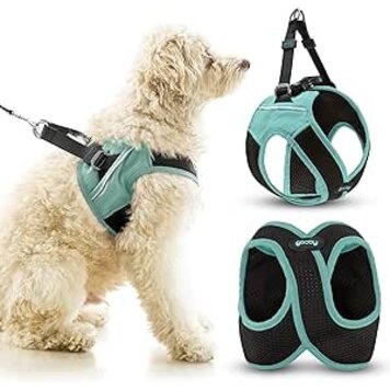Escape Free Easy Fit Harness Blue S