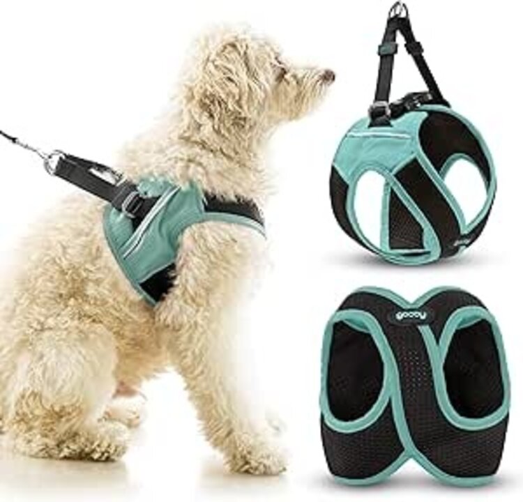 Escape Free Easy Fit Harness Blue S