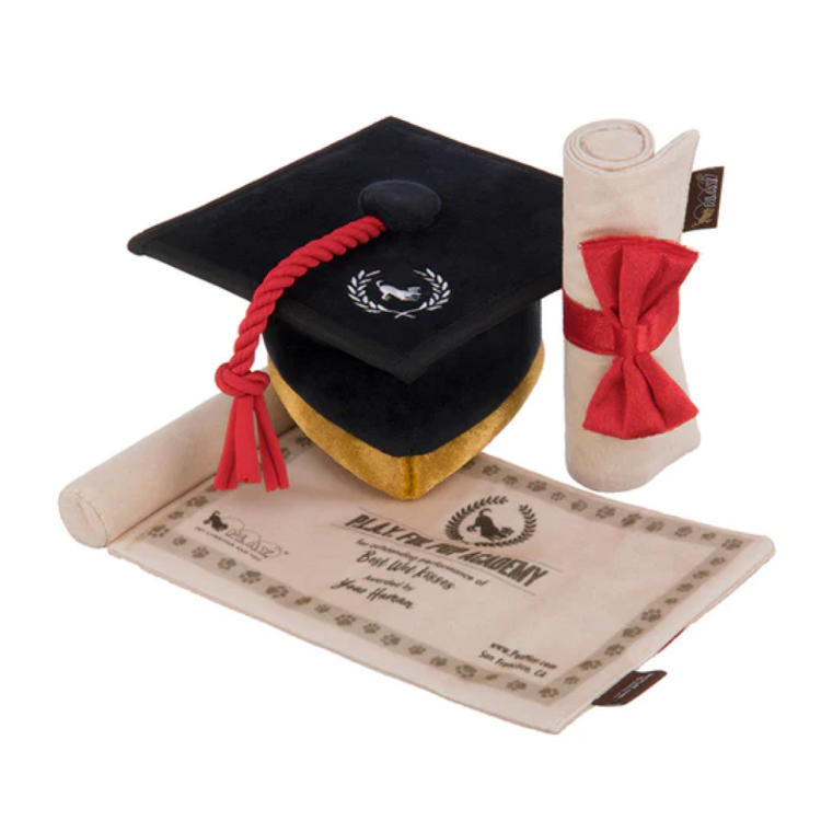 BackToSchool Graduation