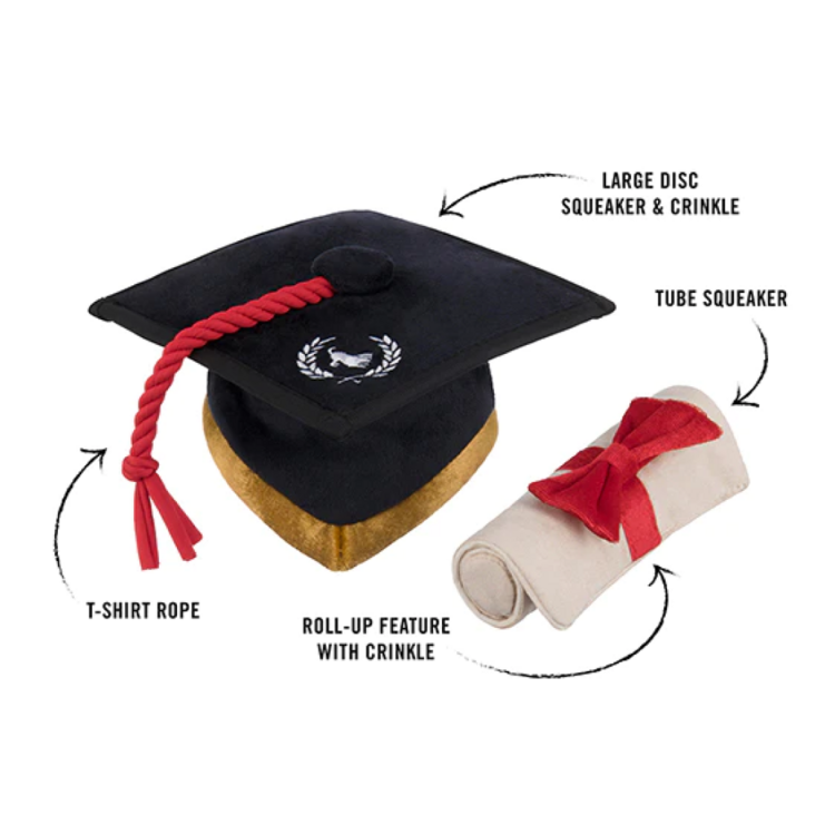 BackToSchool Graduation
