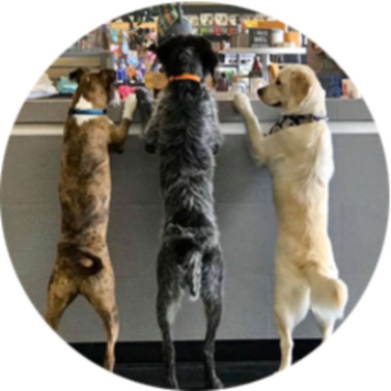Daycare 5-day Package