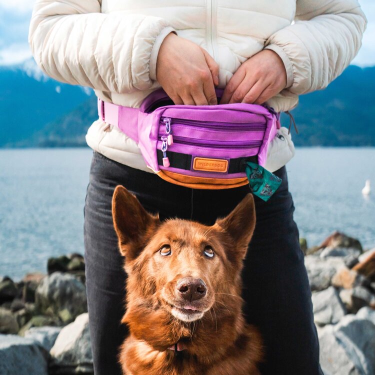 Wilderdog Wilderdog Utility Pack