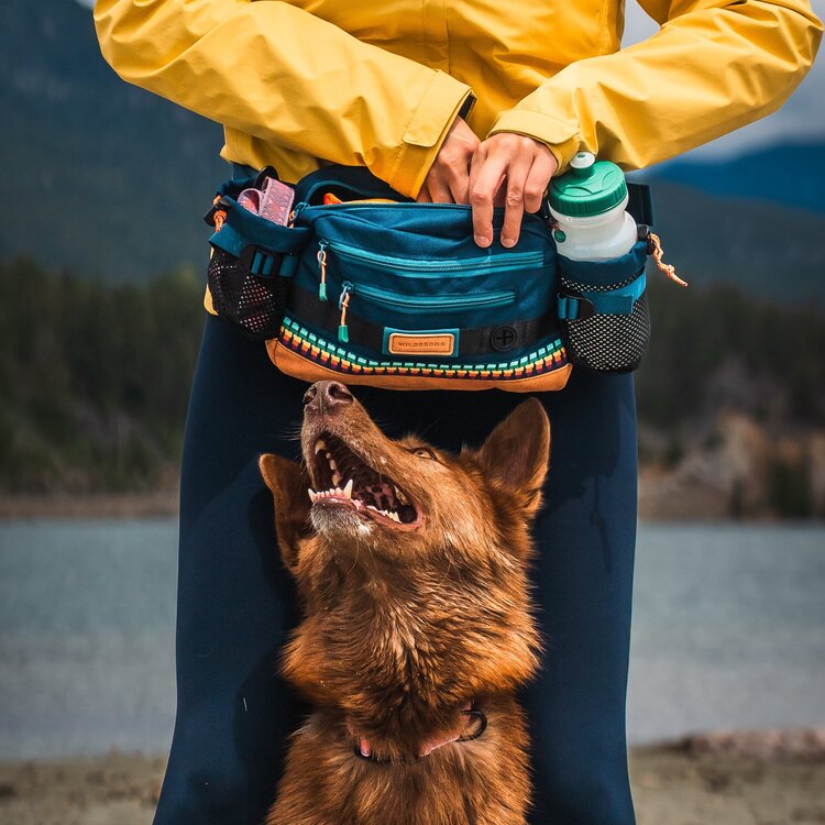 Wilderdog Wilderdog Mega Hip Pack