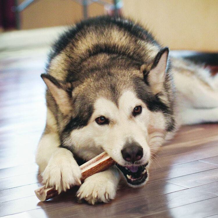 Kong Split Antler
