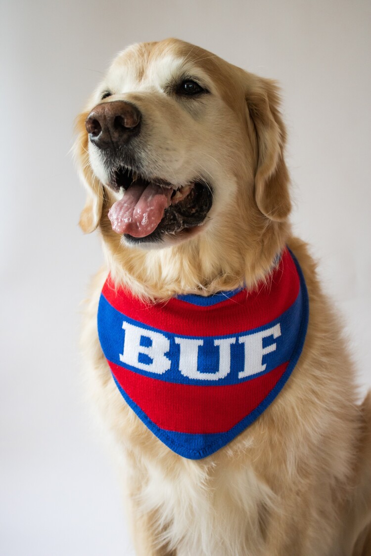 The Dapper Paw Dapper Paw Bandana