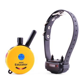E-Collar Mini Educator Gray