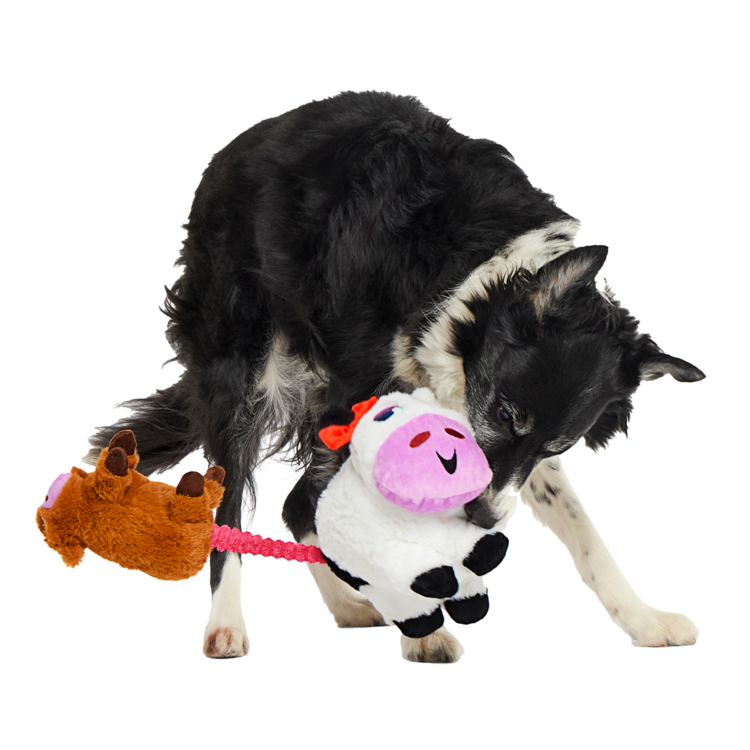 BARK Bark Bertha