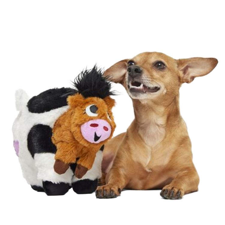 BARK Bark Bertha
