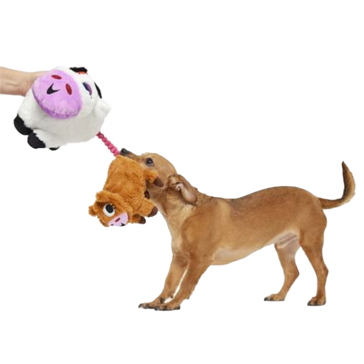 BARK Bark Bertha