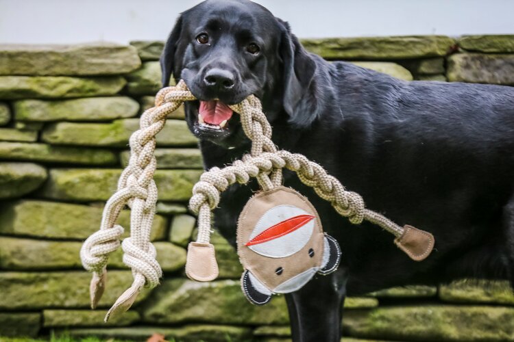 Rope Monkey Knot LG