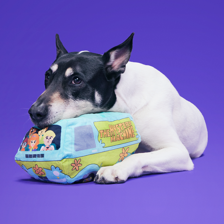 BARK BARK! Mystery Machine