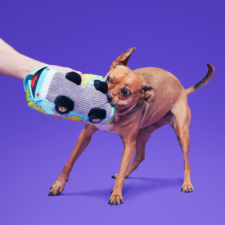 BARK BARK! Mystery Machine