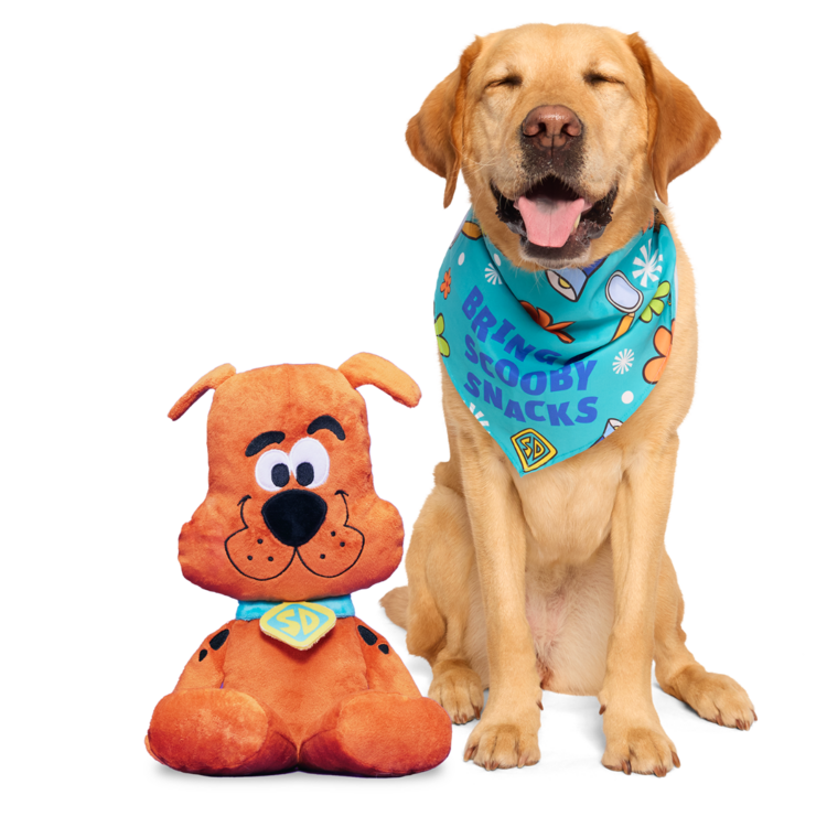 BARK BARK! Scooby Doo Toy