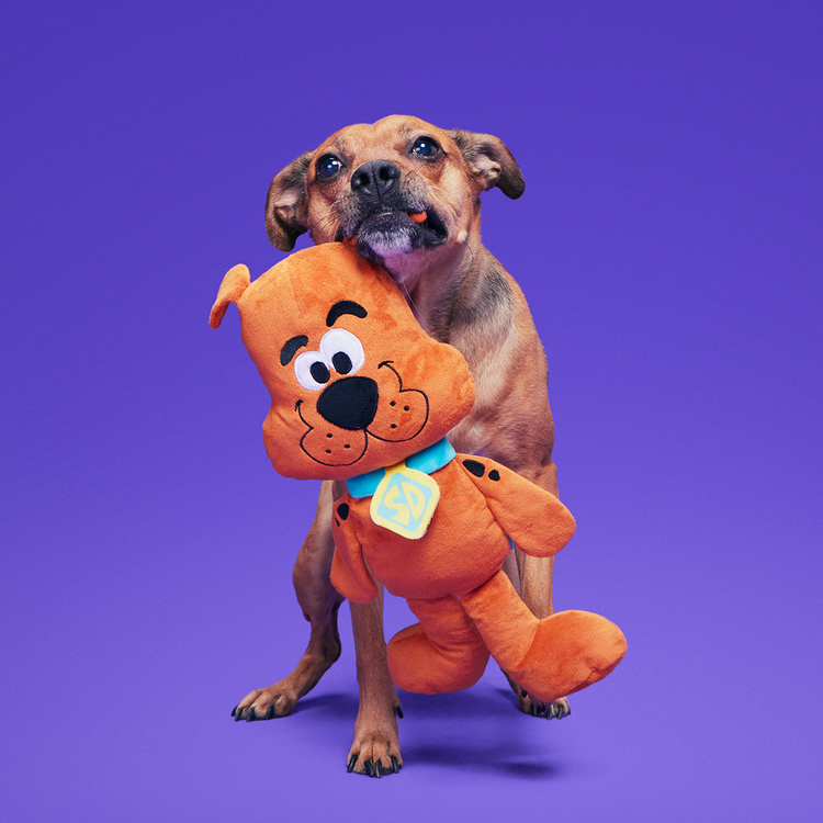 BARK BARK! Scooby Doo Toy